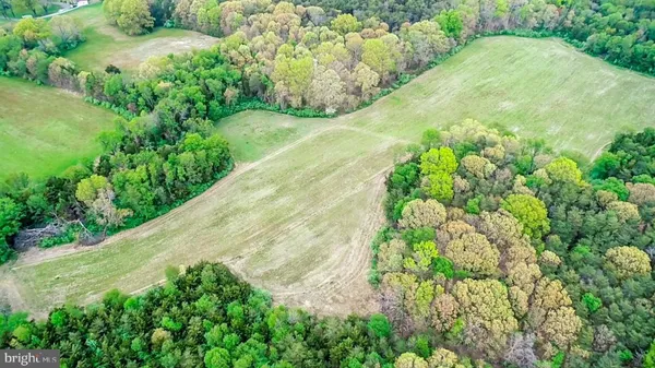 Aerial view of farm field surrounded by mature woodland