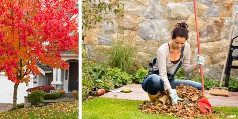 A homeowner raking leaves.