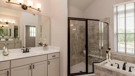 Owner's Bath