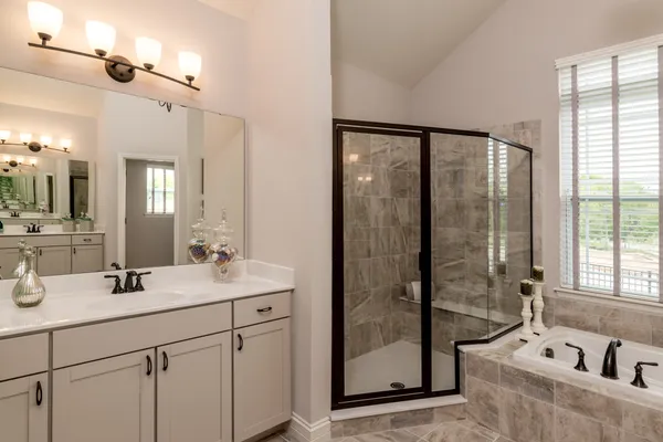Owner's Bath