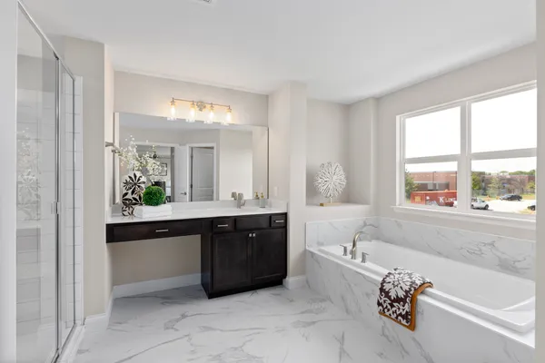 Owner's Bath