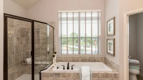 Owner's Bath