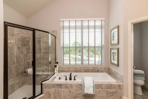 Owner's Bath