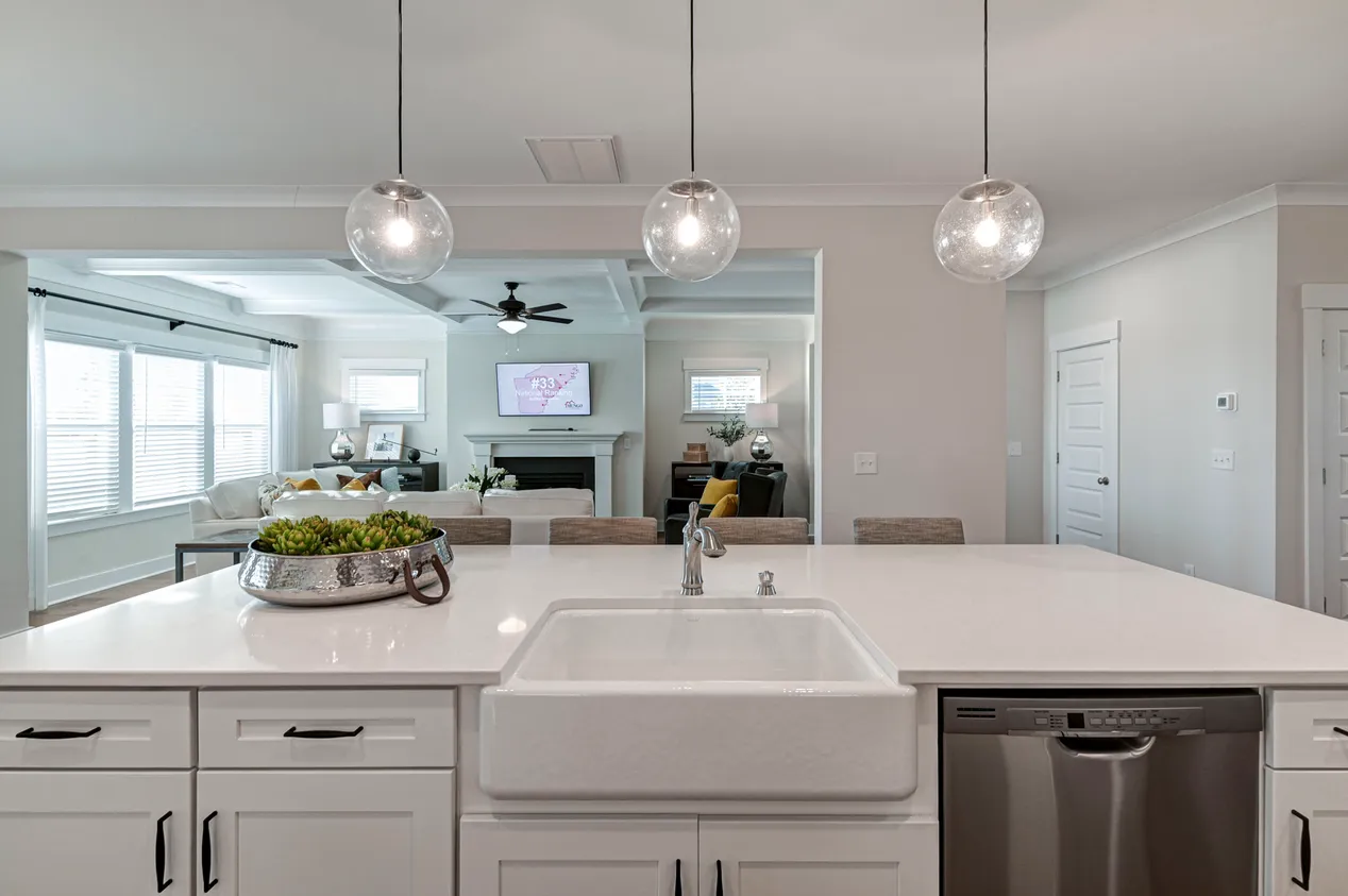 Kitchen to Living Room | Webster Plan