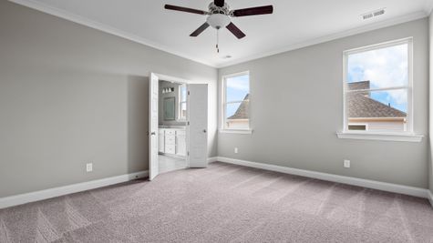 Interior photo of bedroom with gray painted walls, carpeted flooring, and big windows next to bathroom entrance