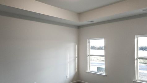 interior photo of front bedroom with tray ceiling
