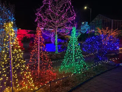 Christmas lights 2023