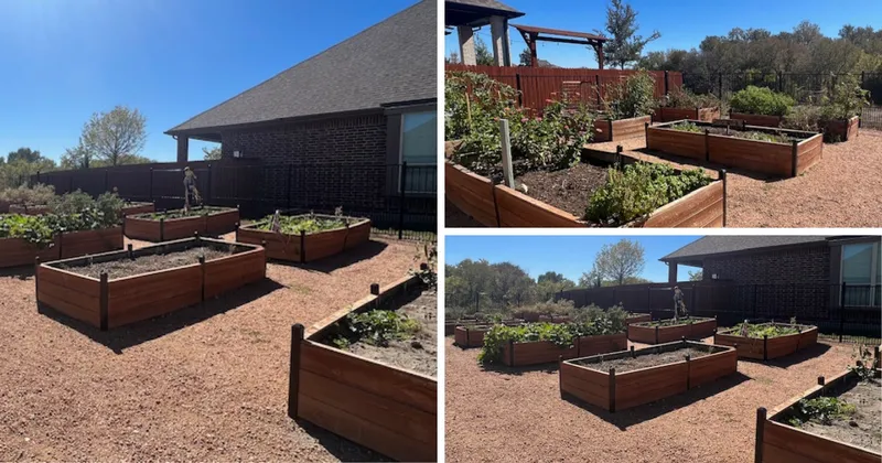 Images of Morningstar's Community Garden.