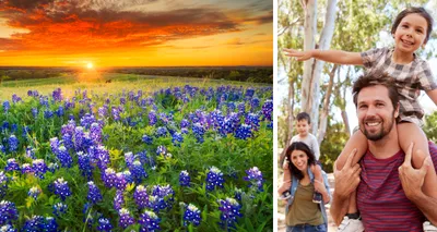 Two photo collage. Photo on left is of field of purple flowers. Photo on right is of family.