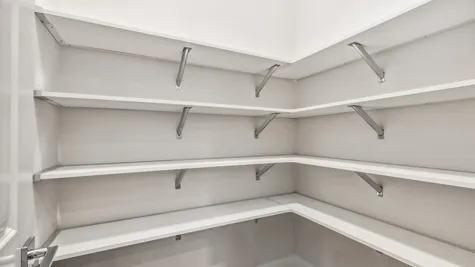 walk-in pantry with shelving