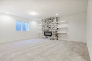 Lower Level fireplace and bookshelves 