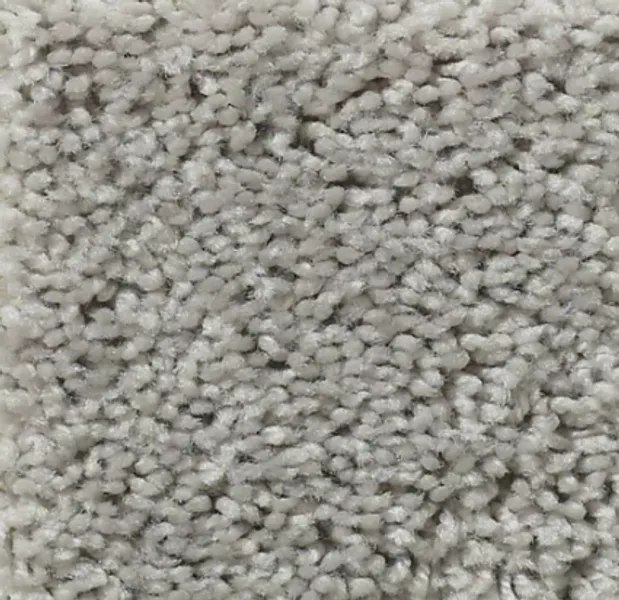Carpet - Concrete