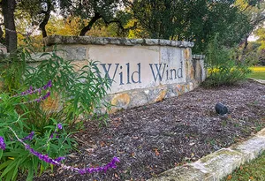 Wild Wind