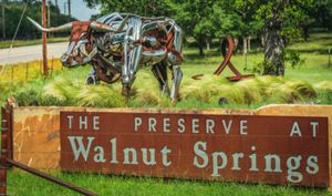 The Preserve at Walnut Springs